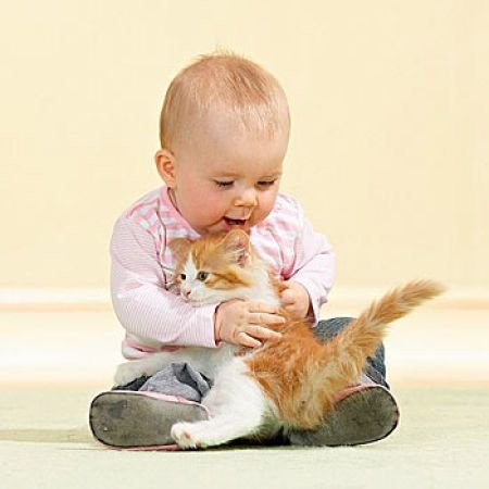 Дети и коты