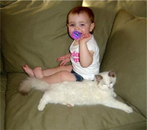 Дети и коты