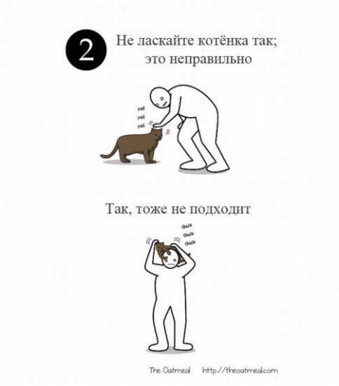 Как ласкать котенка