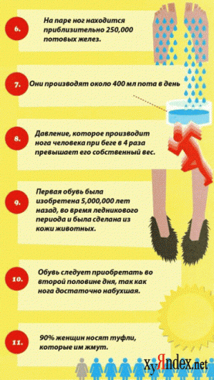 17 интересных фактах о ногах