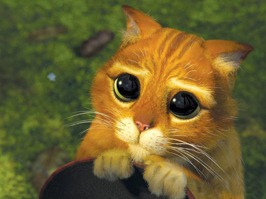 Кот из Шрека в отдельном мультфильме! Фото, видео