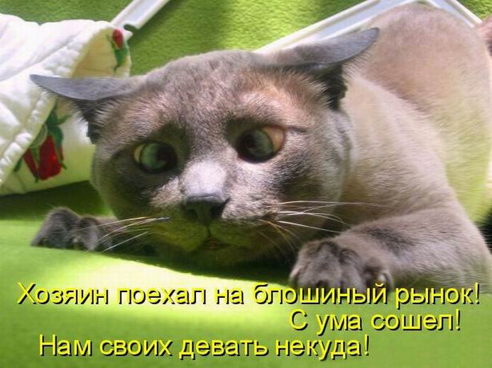 http://stimka.ru/uploads/posts/2011-03/Stimka.ru_1300517777_26.jpg