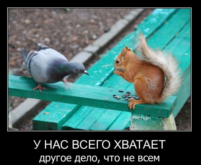 http://stimka.ru/uploads/posts/2011-03/Stimka.ru_1301417151__news_photo_image_large_231797.jpg