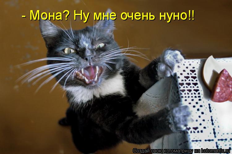 http://stimka.ru/uploads/posts/2011-06/Stimka.ru_1308568098_795938.jpg
