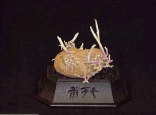 Картофельный бонсай (14 фото)
