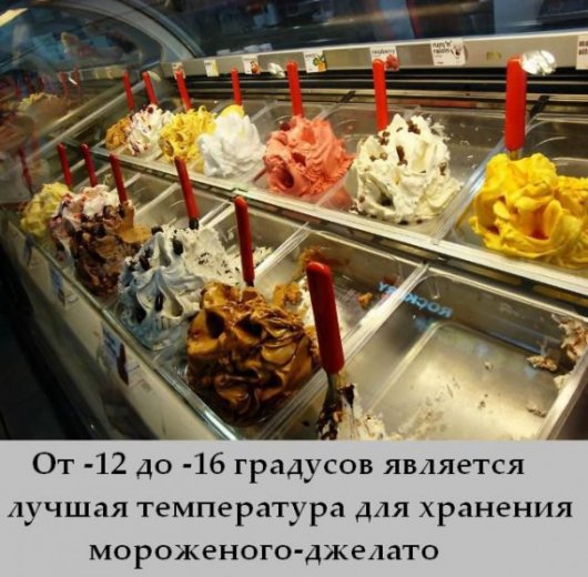 Интересные факты о морожено