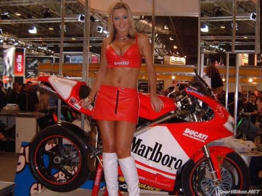 Девушки с мотошоу Ducati (56 фото)