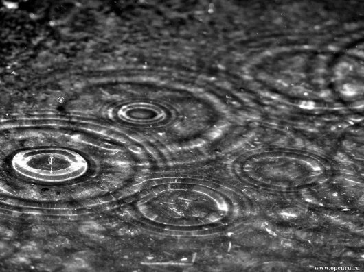 20 фактов о дожде