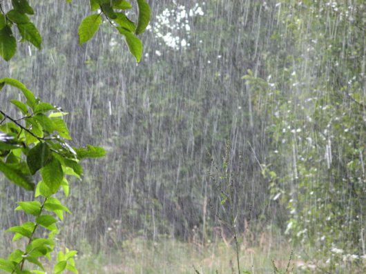 20 фактов о дожде