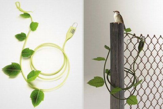 Креативный изделия из настоящих растений