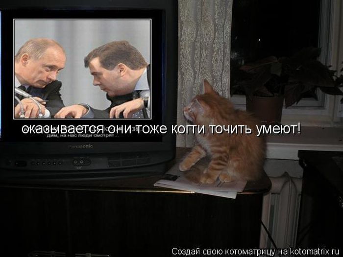 http://stimka.ru/uploads/posts/2011-08/Stimka.ru_1312874138_1312803529_kotomatrix_33.jpg