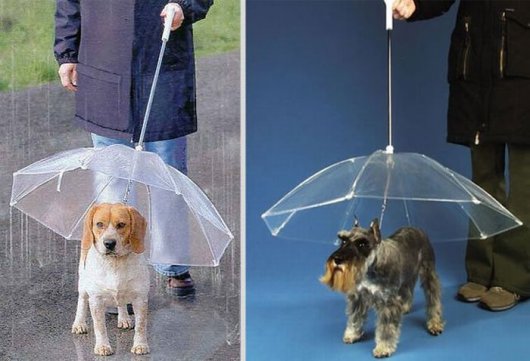 Креативные зонты