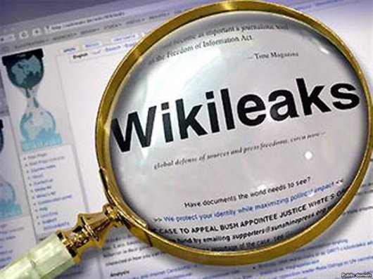 Wikileaks «сдал» Януковича