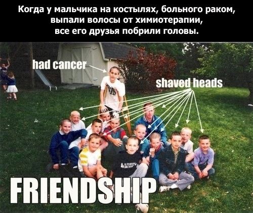 Что такое дружба