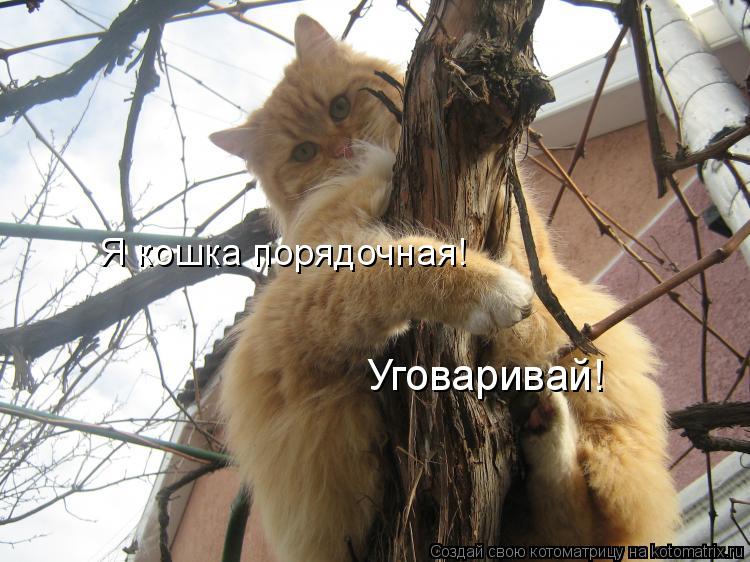 http://stimka.ru/uploads/posts/2012-02/Stimka.ru_1329673315_1102252.jpg