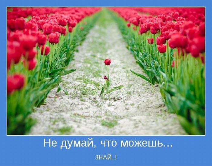 Stimka.ru_1344852755_motivator_42.jpg
