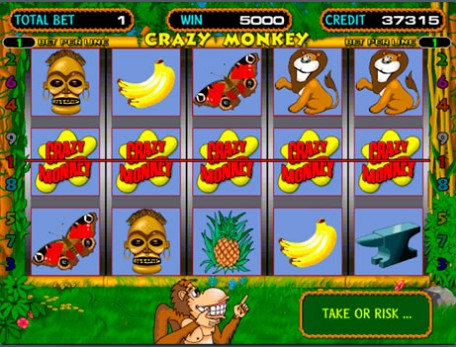 Самые прибыльные игровые автоматы казино Оптимус