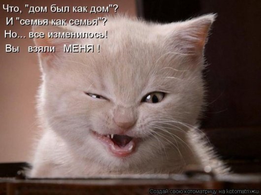 Котоматрицы