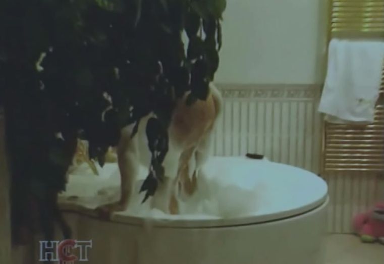 Голая Алена Яковлева