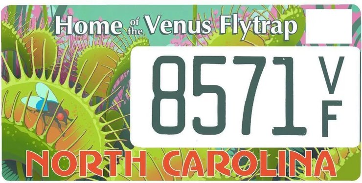 красивый номер машины