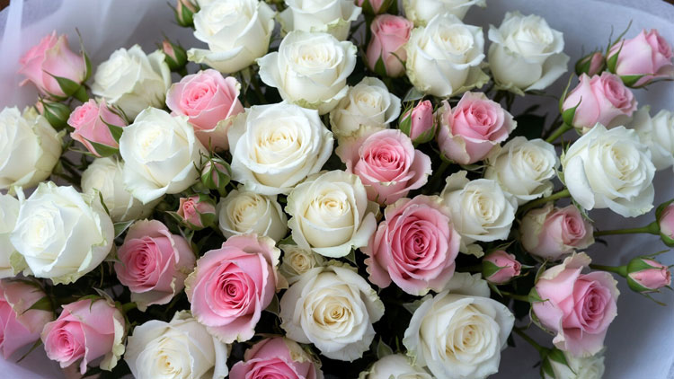 Какие цветы дарят на 8 марта жене, маме, коллеге: значение цветов, идеи и тренды