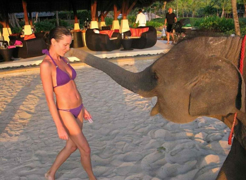 Голая Анастасия Чернобровина