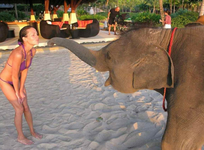 Голая Анастасия Чернобровина